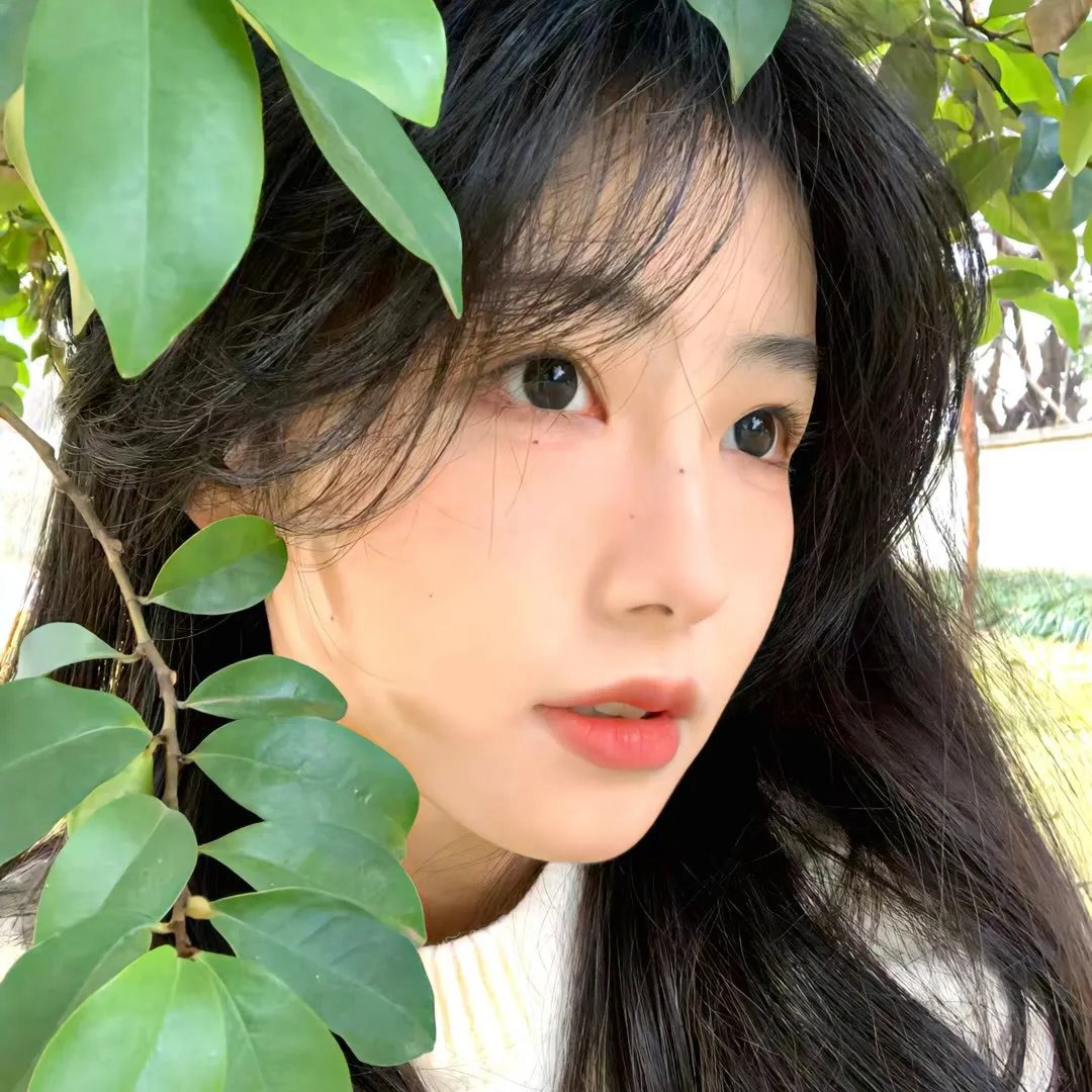 鹰巢