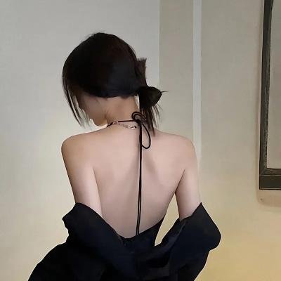 飞燕惊鸿
